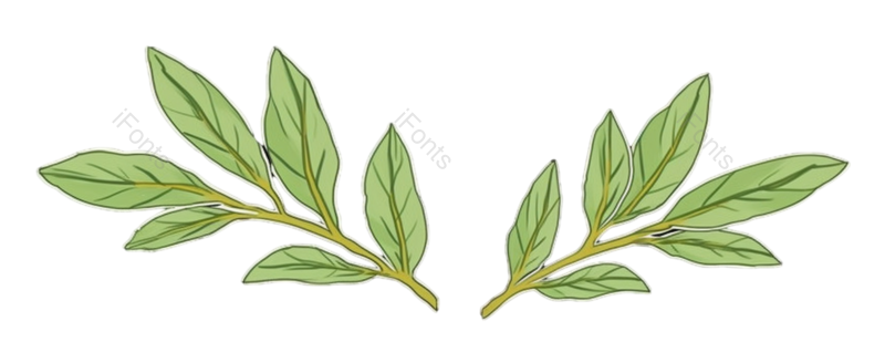 叶子图片,蔬菜元素,绿色蔬菜PNG,免抠素材
